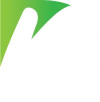 DN monogram